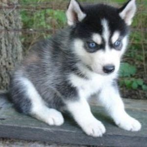 Meet your Posher, Khadija